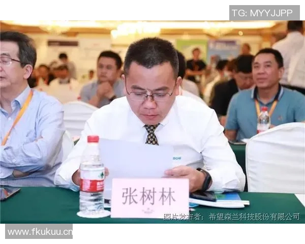 以团队协作为核心推动力，构建高效创新的工作模式和成功案例分享